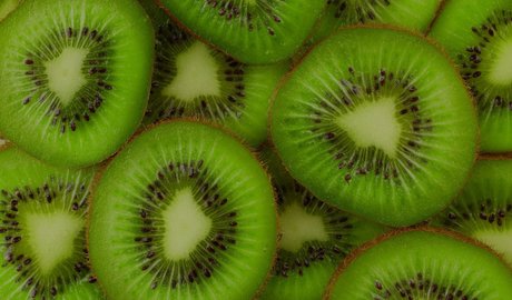 Tsukides estrella agradable recopilación