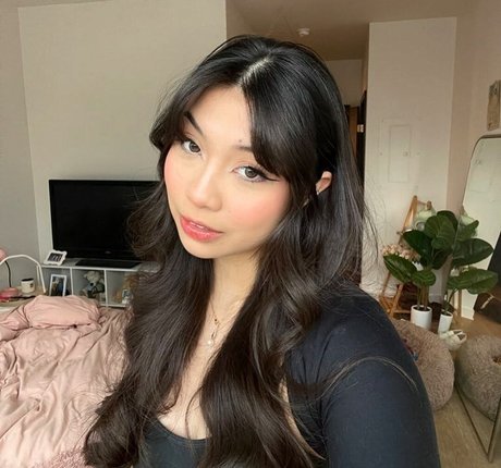 Trin Lovell étoile de haute qualité collection