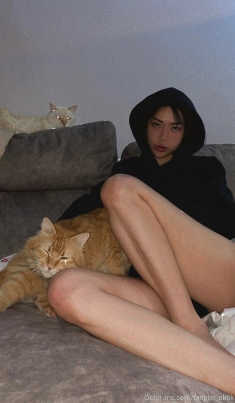 Fangko ok star du porno parfaite collection