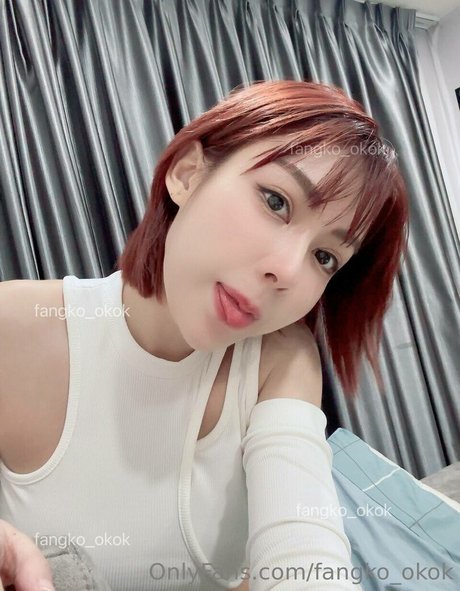 Fangko ok modelo atractivo galería