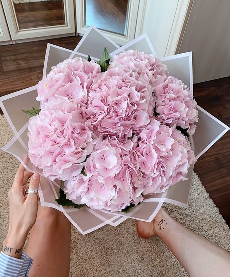 Daria Perel Image de profil