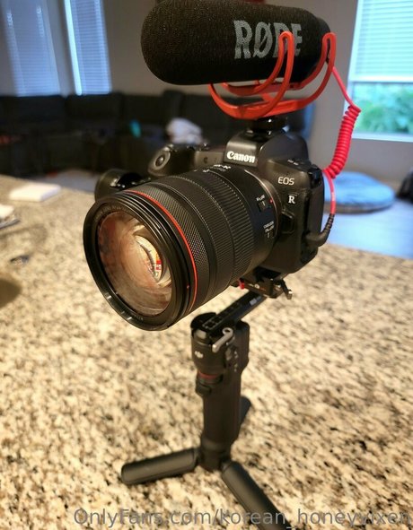 korean honeyvixen modèle images