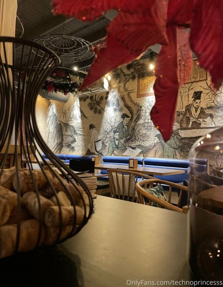 technoprincesss estrella porno adulto imágenes