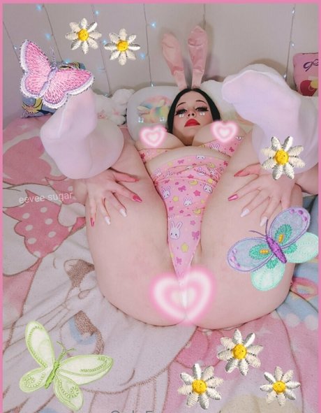 eevee sugar star top pictures