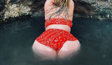 Niqu_ estrella libre imágenes