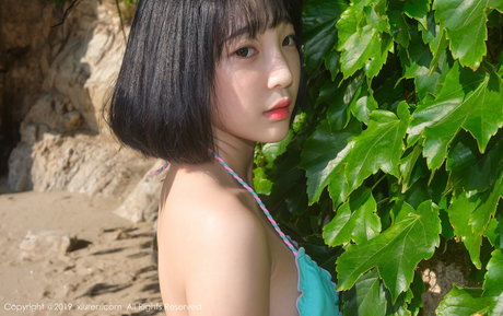 Kang Inkyung étoile exclusive galeries