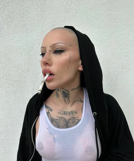 Siiickbrain pornographic actress gallery