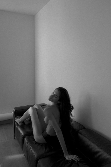 Dani Carbon actrice xxx collection