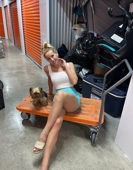 roxyyfoxx mejor estrella porno imagen