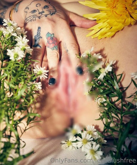 leezalushfree estrella de alta calidad imagen