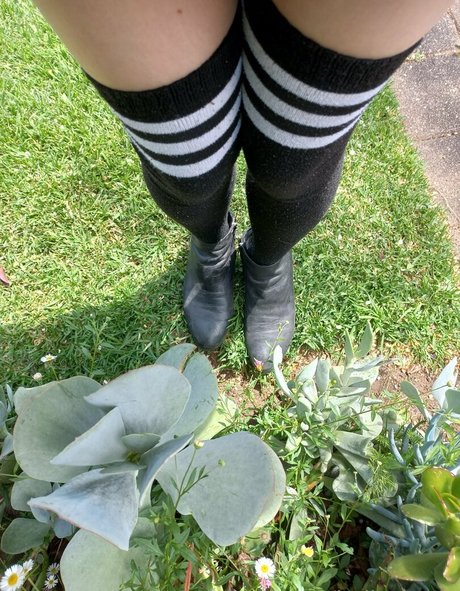 waifubellafree modèle sympa image