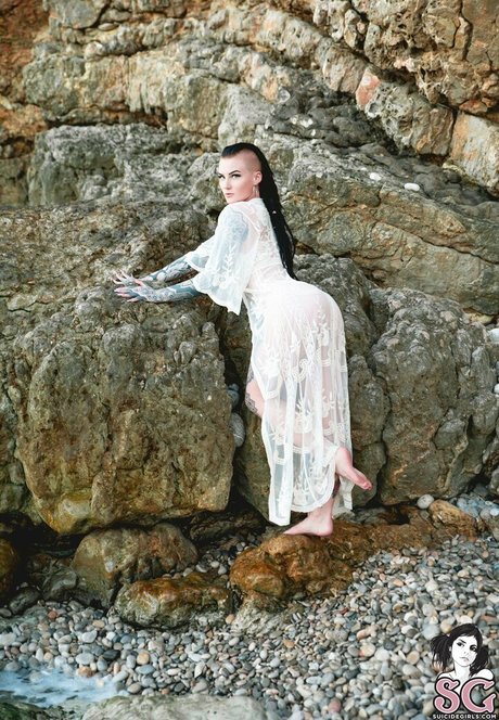 Sierhaus estrella libre foto