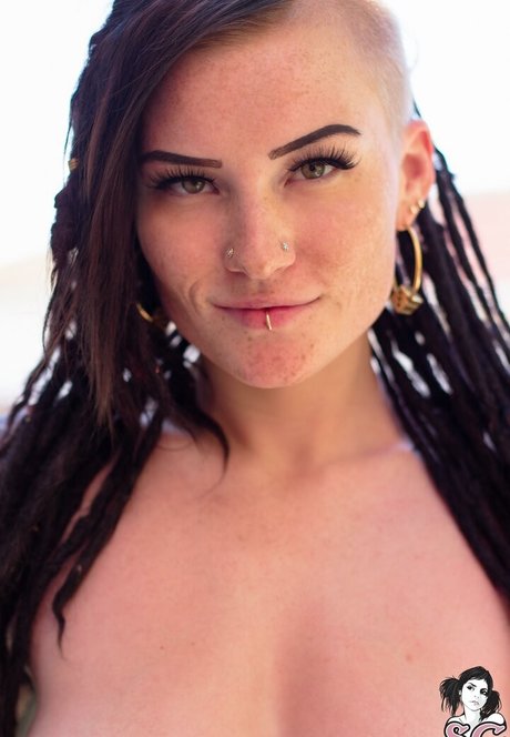 Sierhaus modèle joli archive