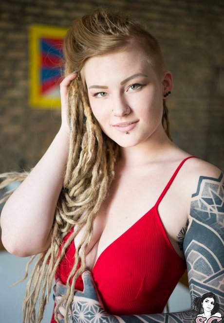 Sierhaus sexe star collection