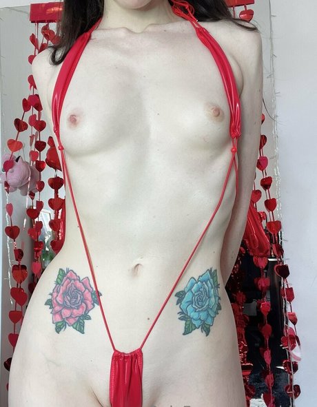 paidjoy estrella perfecta foto