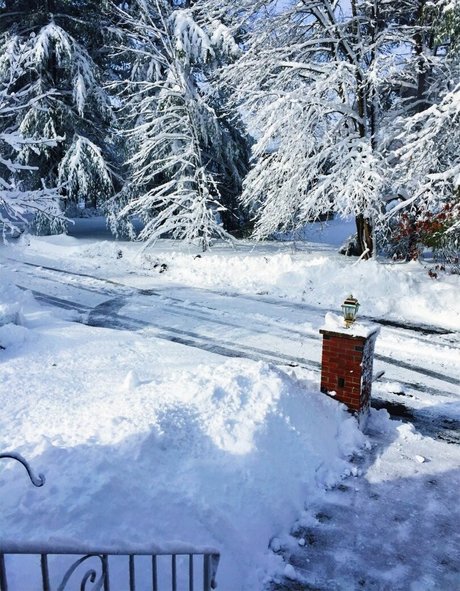 Lizzy Decologero mejor estrella porno imágenes