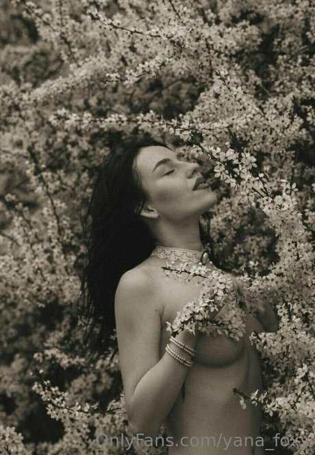 yanafoxy free haut de star du porno images