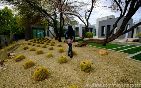 mayasinstress buena estrella porno recopilación