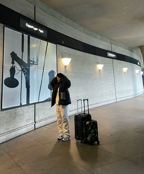 Linea Sindt modelo libre recopilación