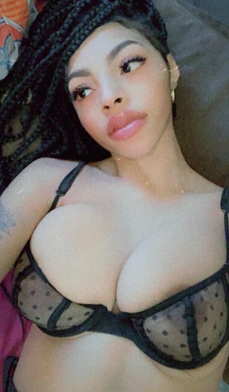 MsHollywood étoile hd archive