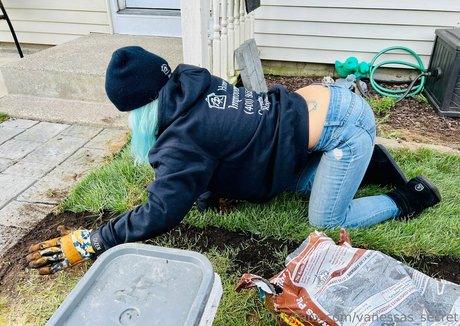 vanessas secret estrella hermosa galería