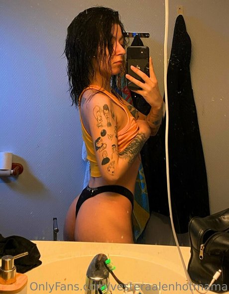 vesteraalenhotmama haut étoile galerie