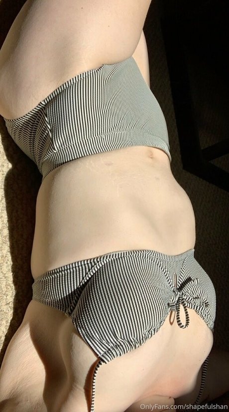 shapefulshan Miniature