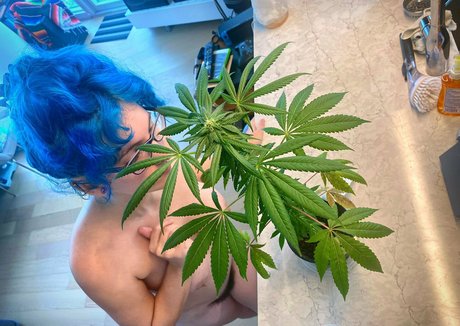 heather05148980 modelo de arte recopilación