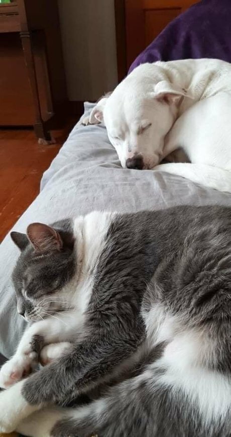 Onlyfans delgados sexy de alta calidad recopilación