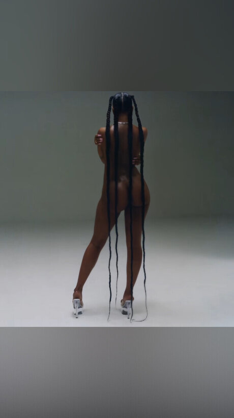 Boujie Vixens_ pornstar exclusive picture