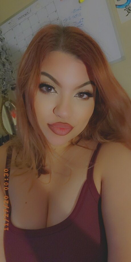 ThiCCs model top archive