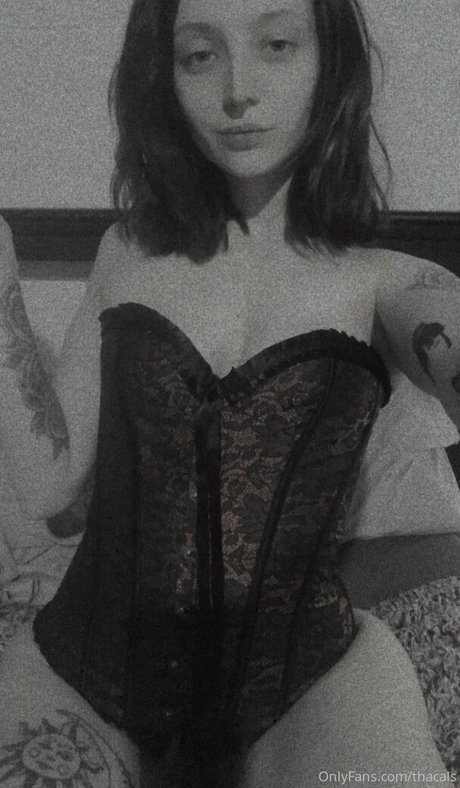 thacals étoile nue galeries