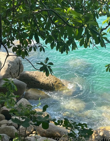 lucy love98 étoile magnifique collection