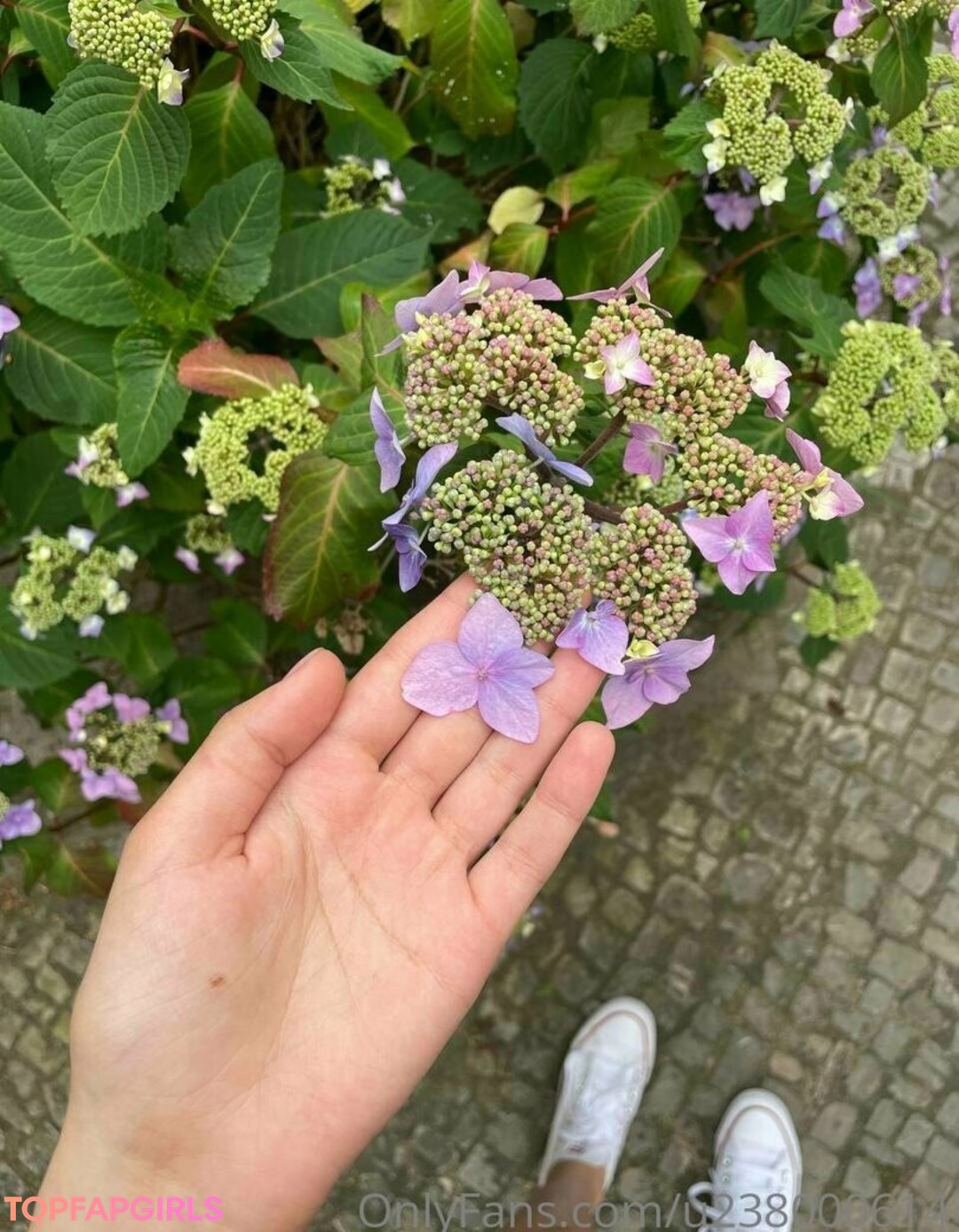 anastasiyan vip exclusive pornstar gallery