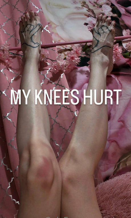 edynx modelo de alta calidad archivo