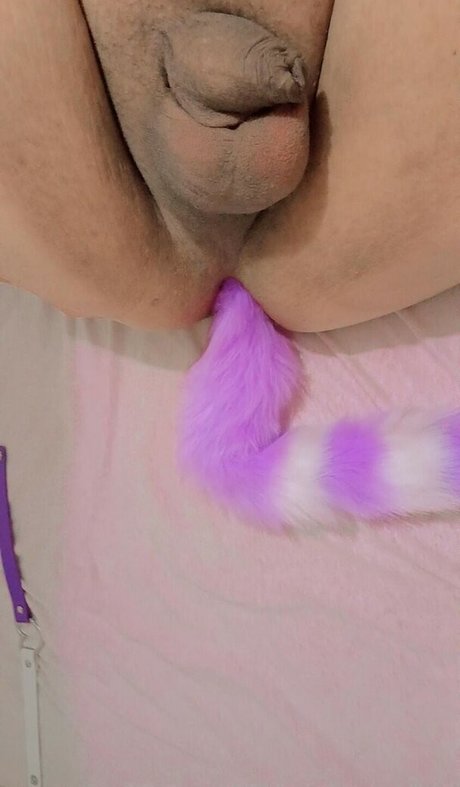 Melissa Isabela estrella porno xxx archivo