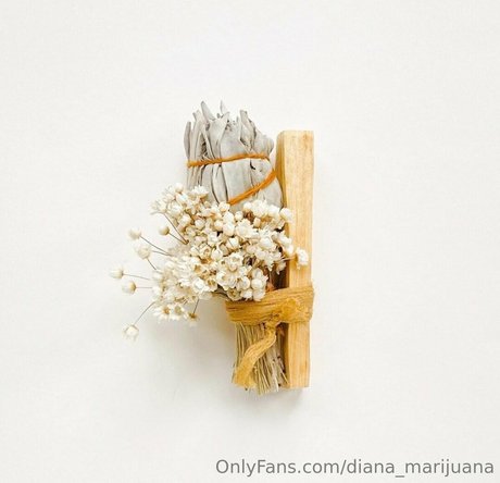 more than palnts modelo atractivo imágenes