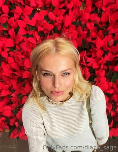 more than palnts étoile parfaite img