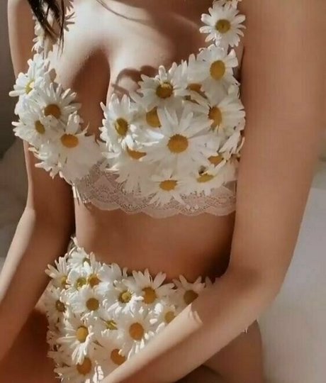 more than palnts hd model gallery