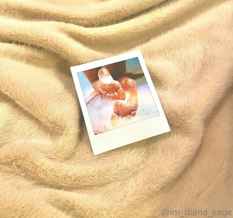 more than palnts hot star galleries