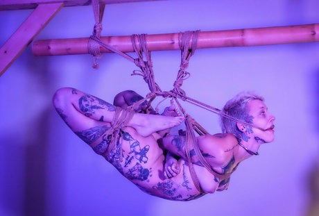 Little Spittle estrella caliente foto