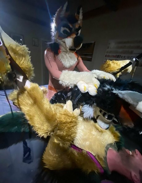 anejo xxx kaii estrella libre galería