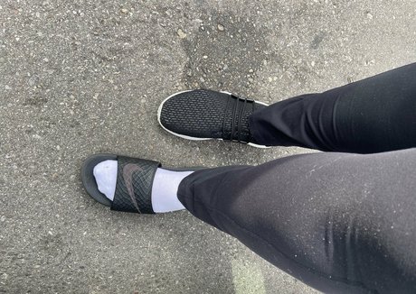 amazonjacq estrella de alta definición imagen