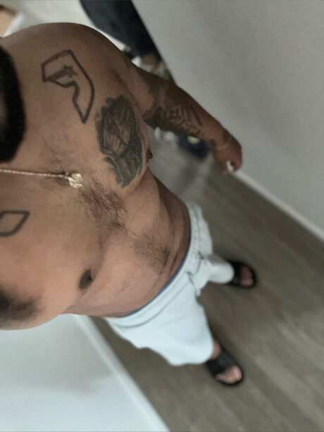 Flippa hot pornstar image