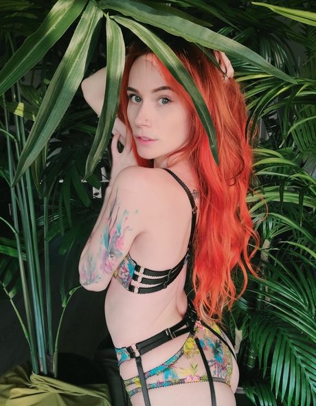 Catziilla estrella de alta definición imágenes