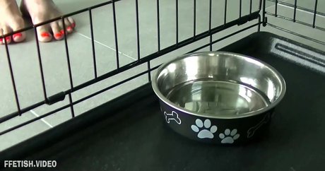 Sasha Foxxx modelo imagen