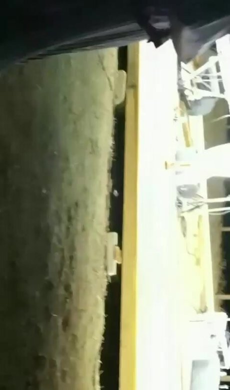 princygiuls étoile érotique galerie