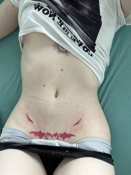 Elefire Grey étoile parfaite des photos