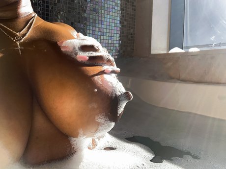 MsixElaaVip pornstar top galleries
