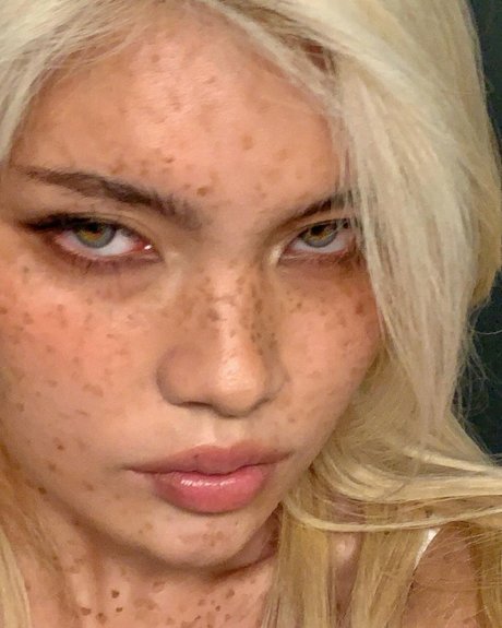 diakimeko estrella de alta calidad imágenes